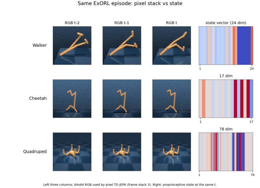 Pixel vs state observations on ExORL domains